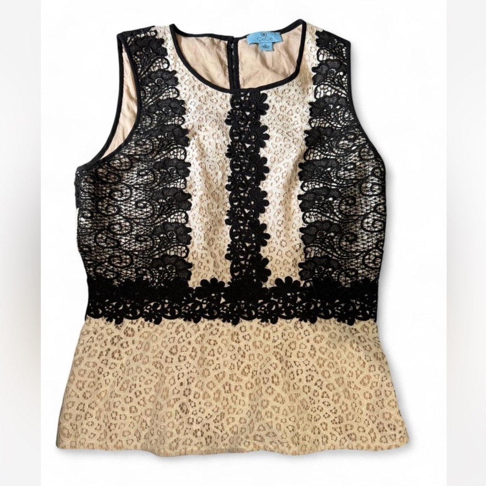 CeCe Black Lace and Beige Dress
